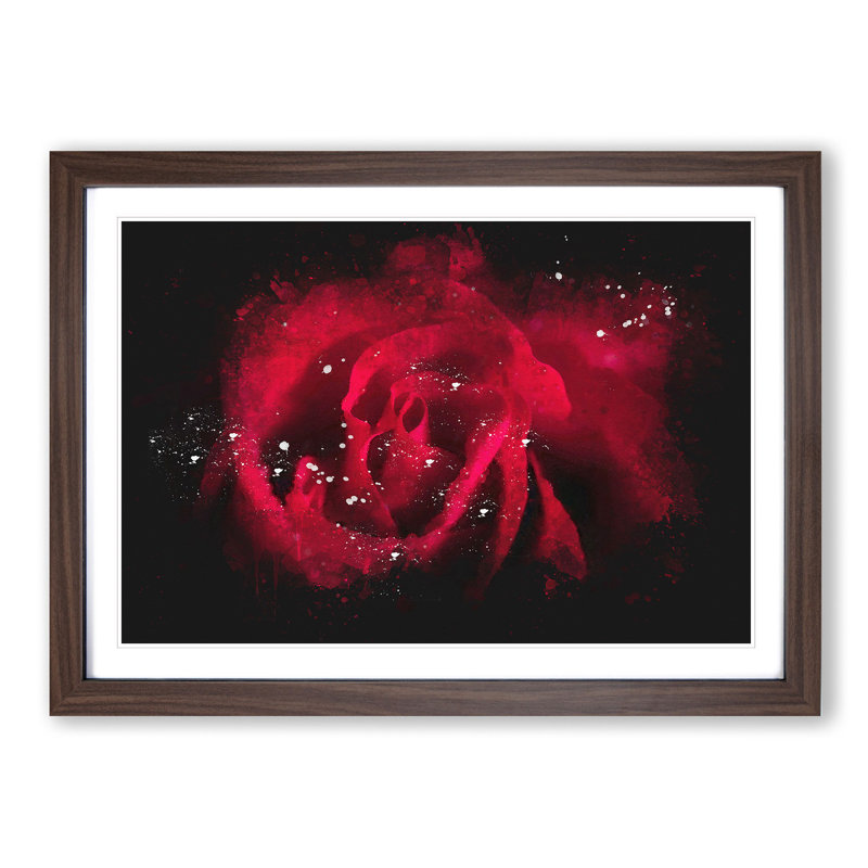 Drops Upon A Red Rose Paint Splash - Picture Frame Graphic Art, 62cm H x 87cm W x 2cm D, Walnut Framed