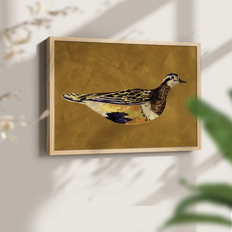«Feathered Friend II», reproduction encadrée, Naturel, H 22 po x l 28 po