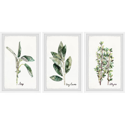 Trio de plantes