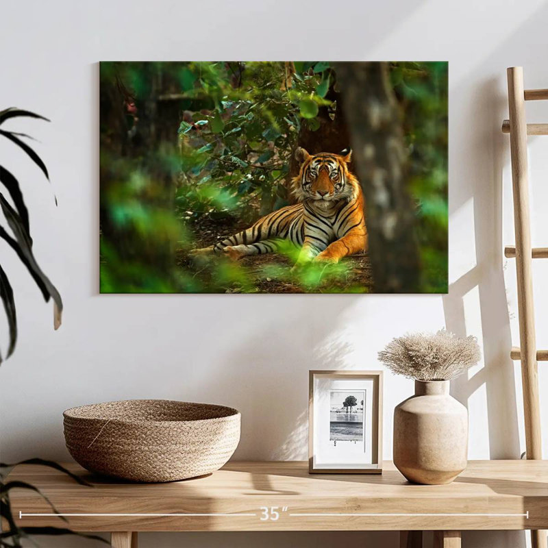 Brampt Indian Tiger, 16" H x 24" W