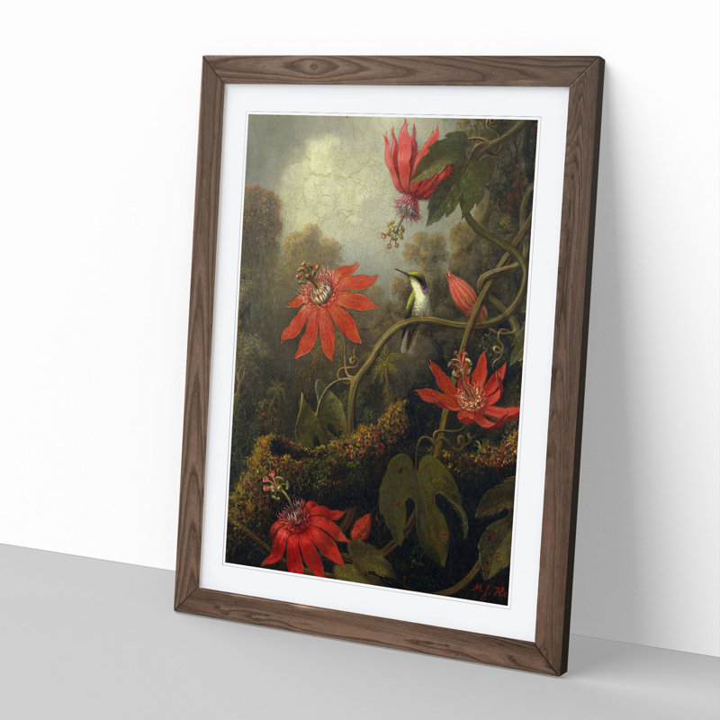 Hummingbird and Flowers by Martin Johnson Heade - Picture Frame Painting, 48cm H x 36cm W x 2cm D, Walnut Framed
