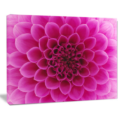 « rose foncé abstract floral pétales », impression sur toile tendue