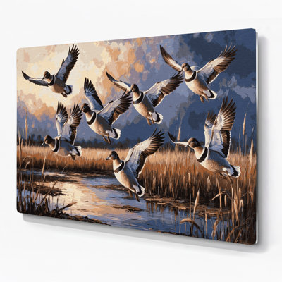 Birds American Wigeon Black Metal Wall Art