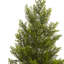 Mini sapin artificiel en pot-1743630061