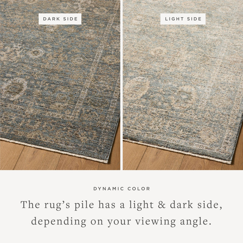 Jacobo Blue / Sand Area Rug, Rectangle 7'10" x 10'