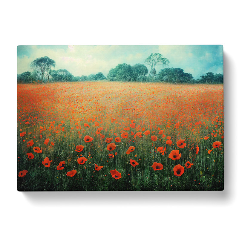 Pleasant Poppy Field Flowers - Wrapped Canvas Print, 35cm H x 50cm W x 3cm D