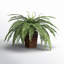 23'' Faux Fern Plant in Wicker/Rattan Pot