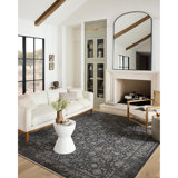 Vance Oriental Indoor Rug