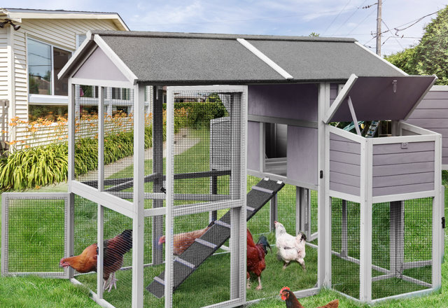 Chicken Coops for Less