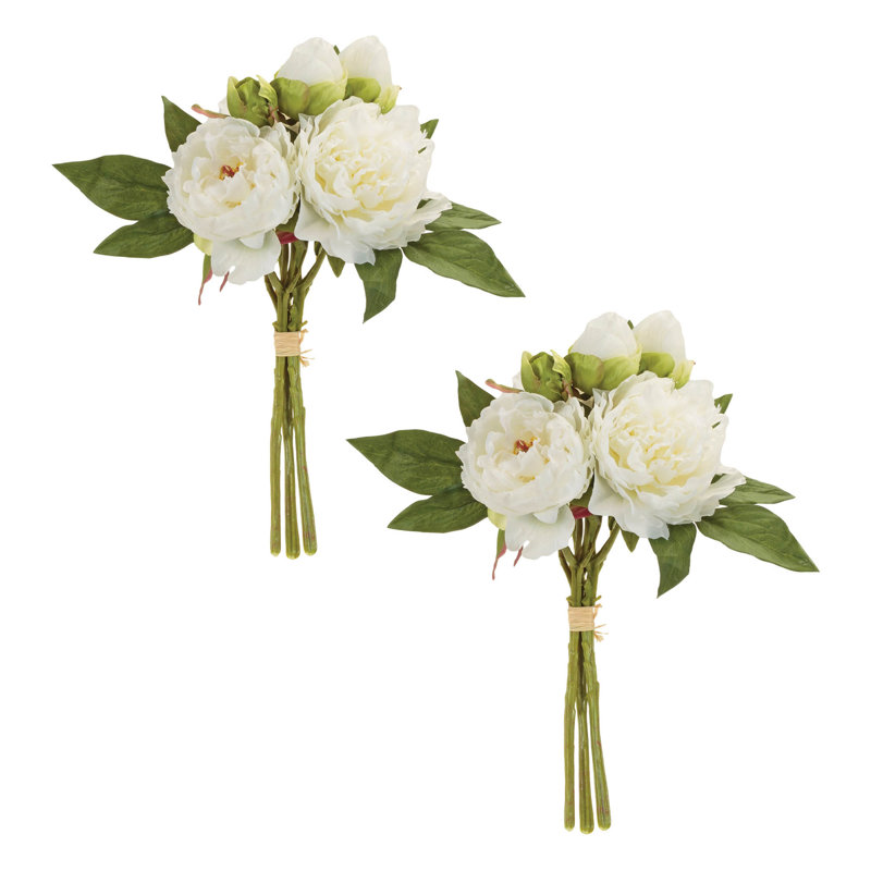 Ensemble de pivoines florales, Blanc