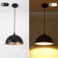 Luminaire suspendu en dôme industriel 11,81 po à 1 lumière avec abat-jour en métal pour îlot de cuisine Danialah-654423751
