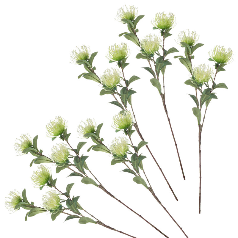 Protea Stem - ensemble de 6 - vert / crème