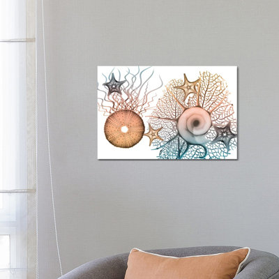 Sea Collective I by Albert Koetsier - Print on Canvas