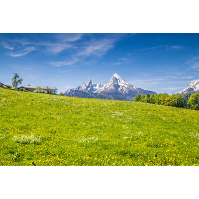 Green Meadows - Wrapped Canvas Print