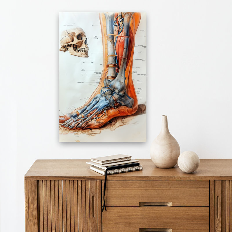 «Anatomical Leg and Skull», art mural rétro, H 18 po x l 12 po
