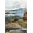 Generosity II by Lila Bramma - Wrapped Canvas Painting Print-371738541-331057273
