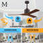 Nan 42" Ceiling Fan In Blades-1611395866-1662758408