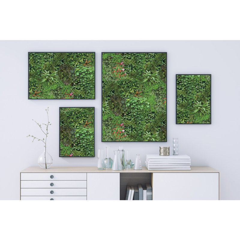 Rouleau de papier peint adhésif L 18,86 pi x l 18 po Corder Living Wall
