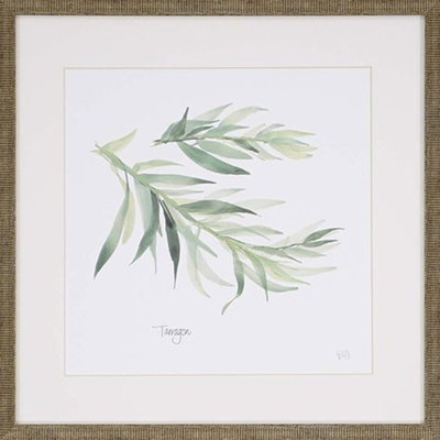 HomeRoots (Set of Four) Herbs, impression murale encadrée dorée