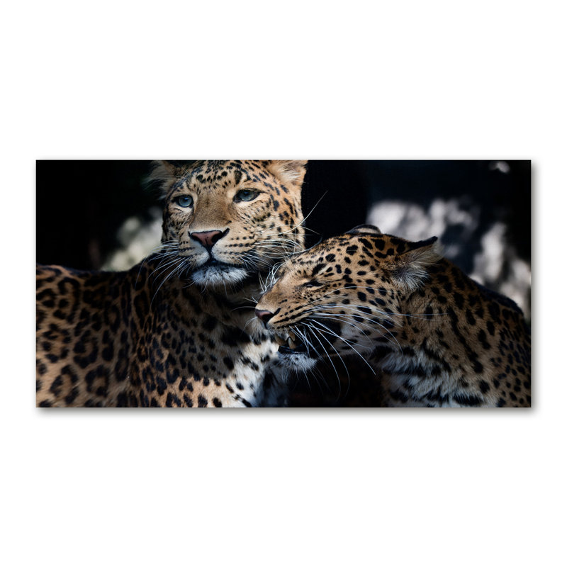 Two Leopards - Wrapped Canvas Print