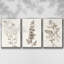 Neutral Botanical Study IV 3 pièces-97711581-97711582