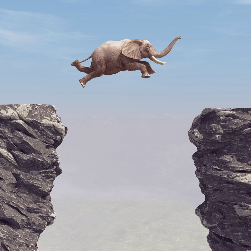 An Elephant Jumping over a Chasm 1 Piece Wrapped Canvas Wall Art, 51cm H x 51cm W