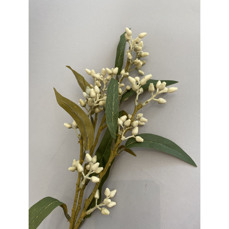 Vaporisateur aux baies d'eucalyptus beige