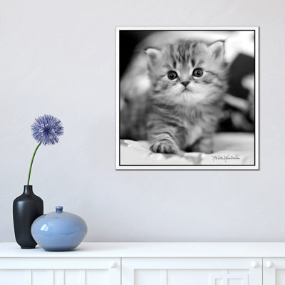 Mine by Keith Kimberlin - Print on Canvas