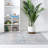 Checkered Indoor Rug-181471029
