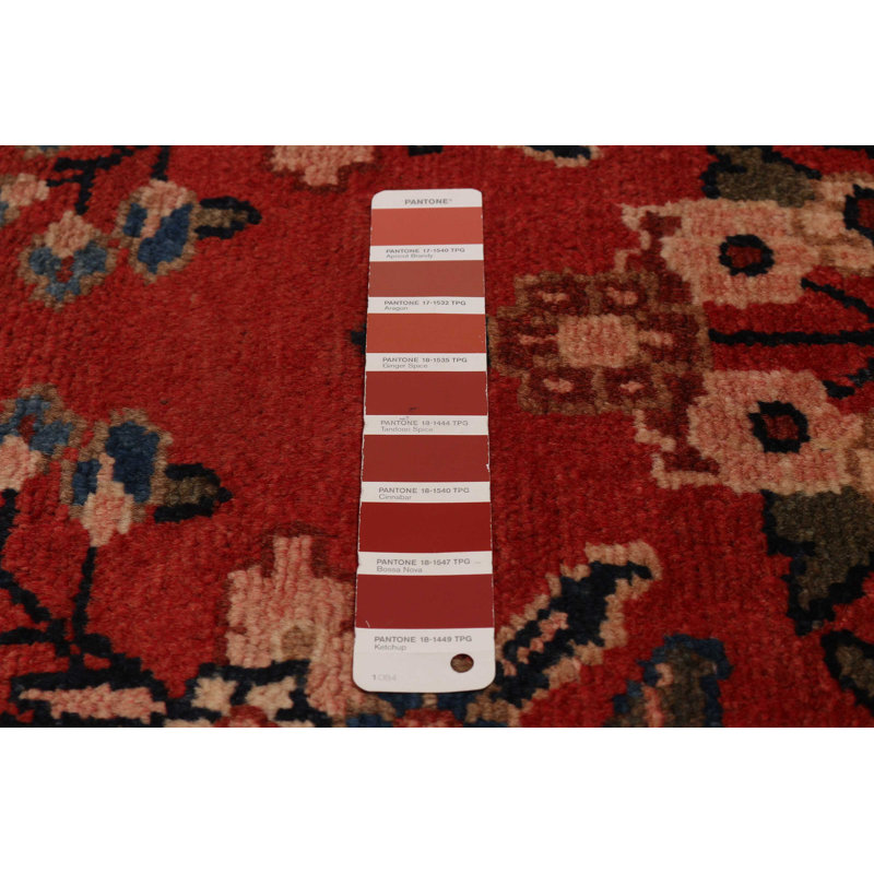 Tapis rouge Andelz 3 pi 5 po x 13 pi 8 po