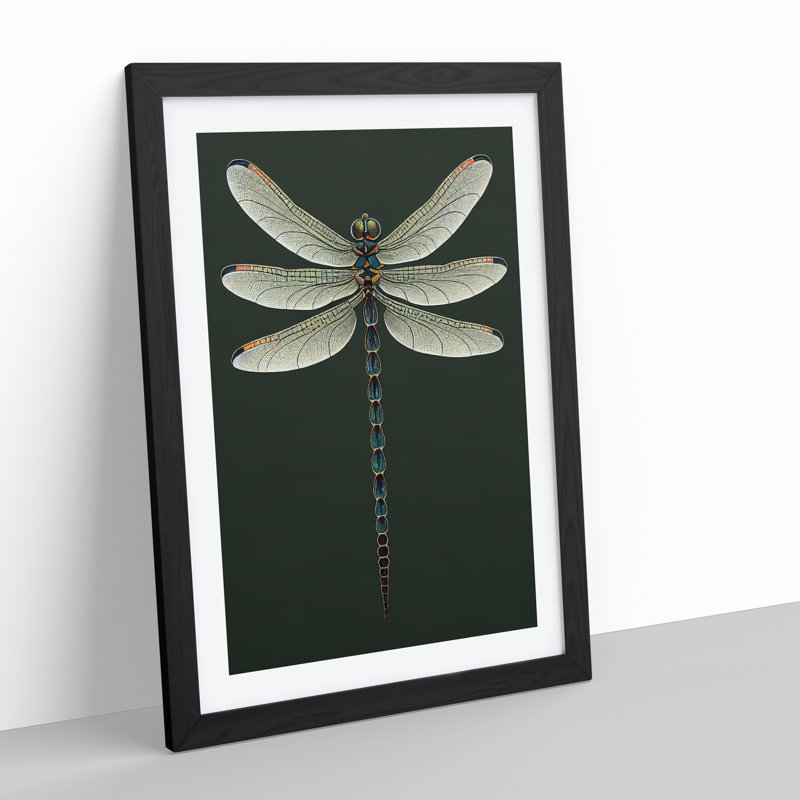 Symmetrical Dragonfly - Framed Print, Black Framed, 46cm H x 34cm W x 2cm D