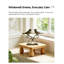 Support pour plante d'intérieur en bois massif - Présentoir en bois moderne avec assemblage vissé à la main pour la décoration intérieure, le salon ou le bureau