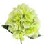 Hydrangea Floral Stem (Set of 3)-1695142972