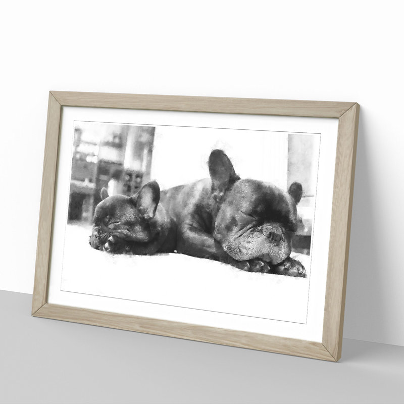 Two French Bulldogs - Framed Print, 27cm H x 36cm W x 2cm D, Oak Framed