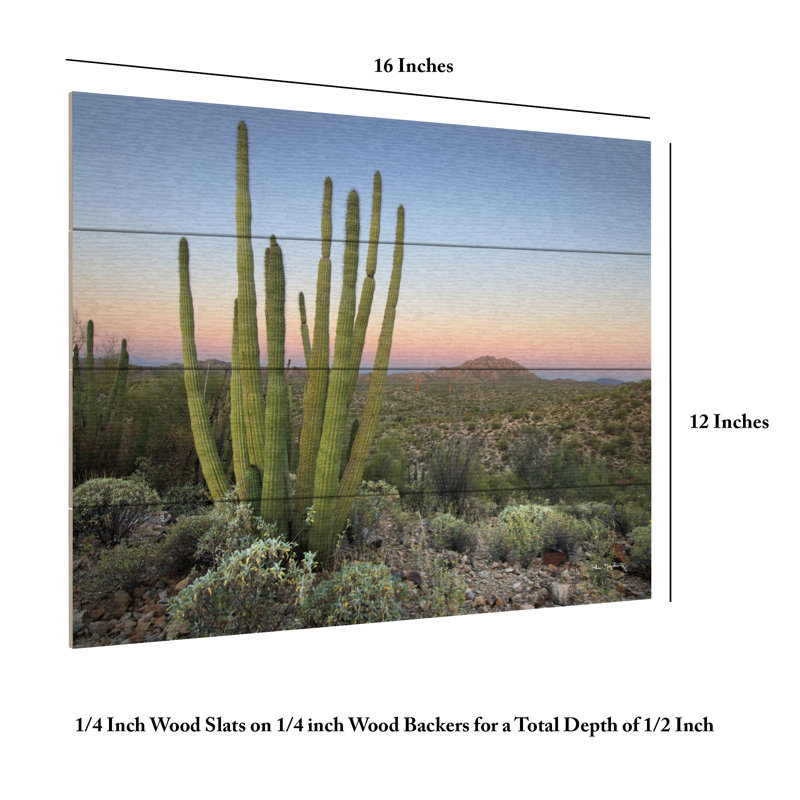 Cactus orgue au crépuscule sur bois, H 12 po x l 16 po