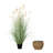 Mini Cattail Drop-In and Grass Wrapped Pot