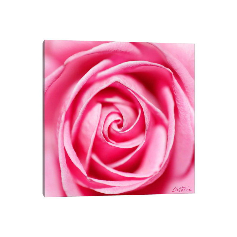 Petal By Petal by Ben Heine - Print on Canvas, 30.48 cm H x 30.48 cm W, Wrapped Canvas