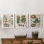 Exotic Botanique I - Ensemble de 3 peintures sur toile encadrées-595385050-595385051