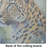 Leopard Glass Cutting Board Large