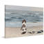 "A Dog on the Beach", reproduction sur toile tendue-1074149770