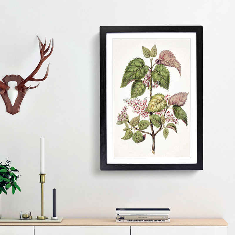 Pink Flowering Flowers by Sarah Featon - Picture Frame Painting Print, 36cm H x 27cm W x 2cm D, Black Framed