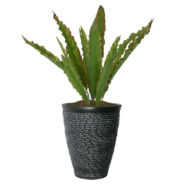 Plante grasse artificielle en pot 35,5 "Panama