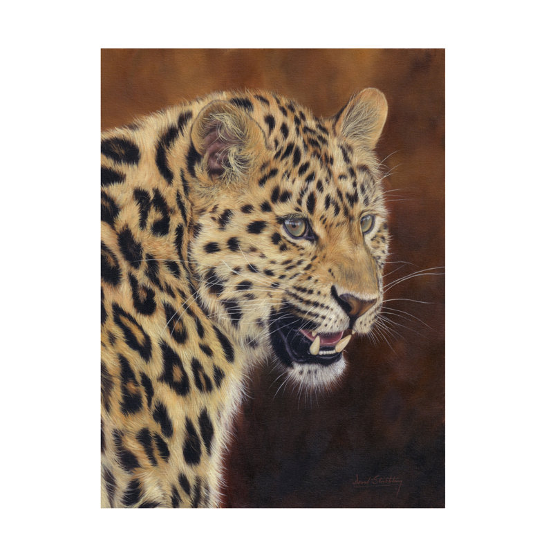 David Stribbling Leopard Growl Canvas Art, 18" H x 24" W