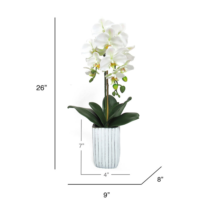 Centres de table orchidées phalaenopsis en pot, H 26 po x l 9 po x P 8 po