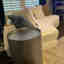 Customer photo 4 of 7