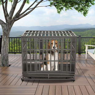 Caisse pour animaux