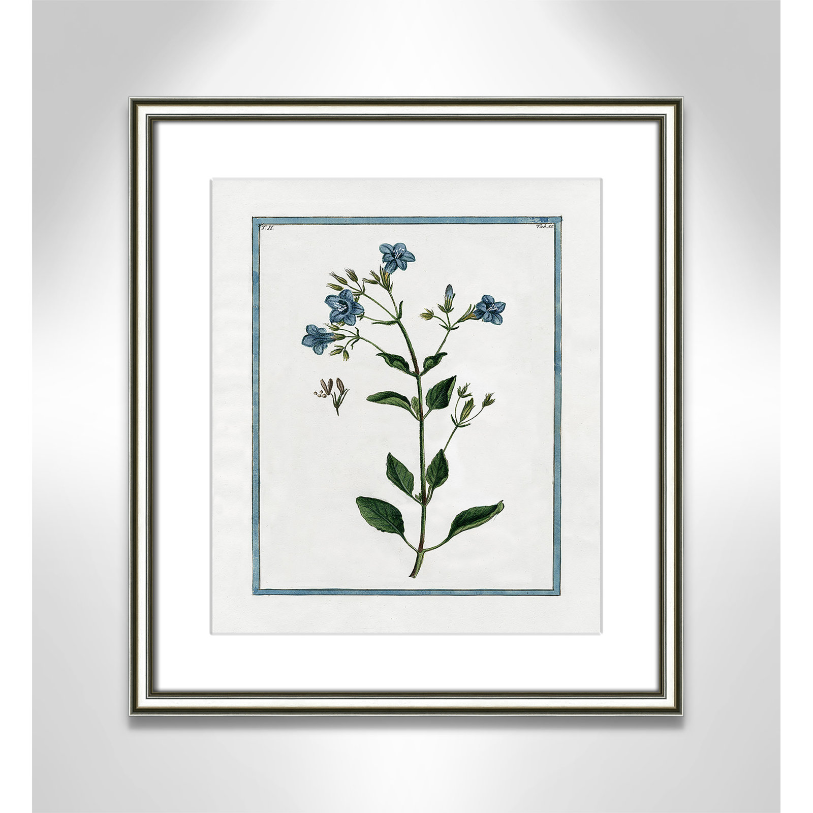 Colombe "Shabby Elegance Botanical II" Print, 14.25" W x 16.25" H, Silver Framed