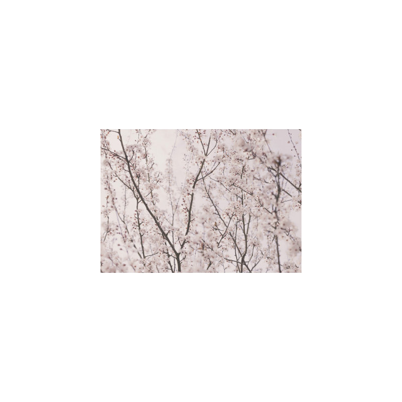 Wrapped Canvas Print, 50.8 cm H x 76.2 cm W