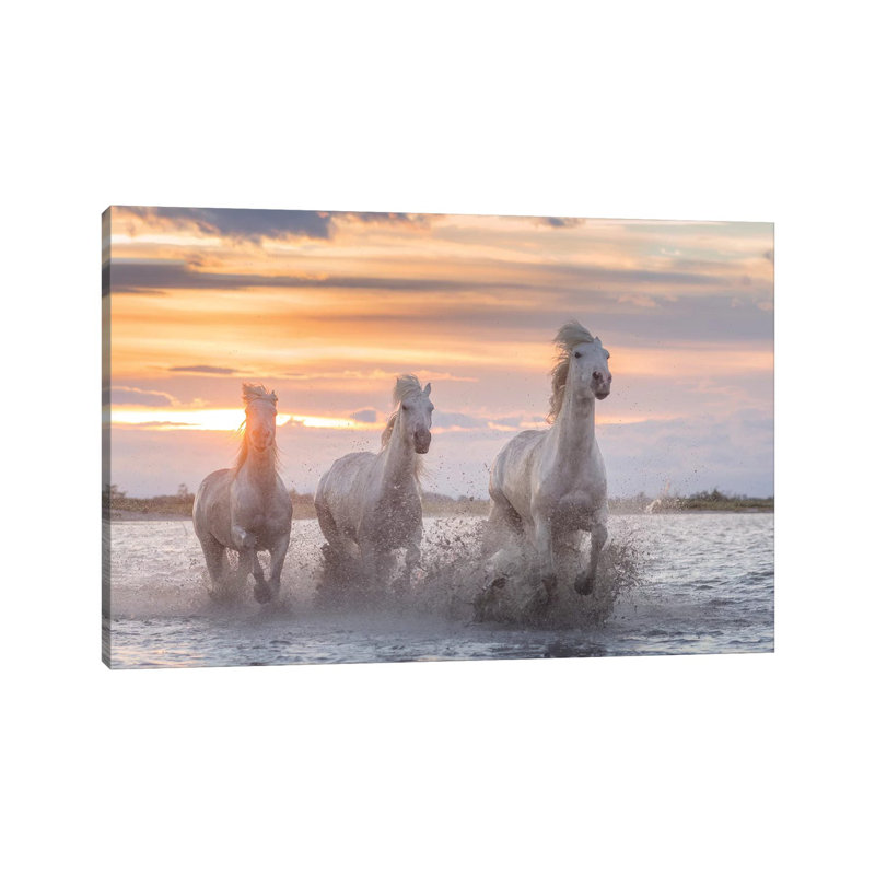 White Angels Of Camargue XXXII by Daniel Kordan - Print on Canvas, Wrapped Canvas, 20.32 cm H x 30.48 cm W