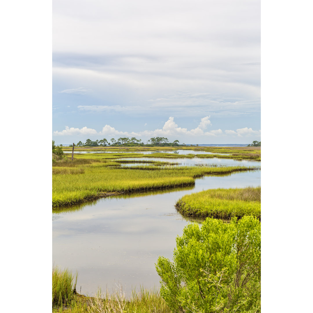 Florida-Landschaft - Leinwandbild